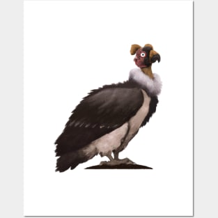 Cute Condor Drawing Posters and Art